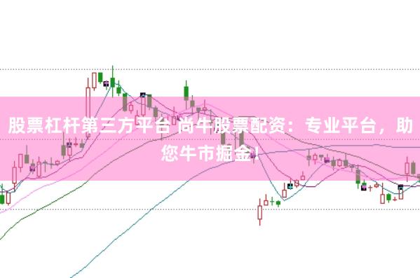 股票杠杆第三方平台 尚牛股票配资：专业平台，助您牛市掘金！