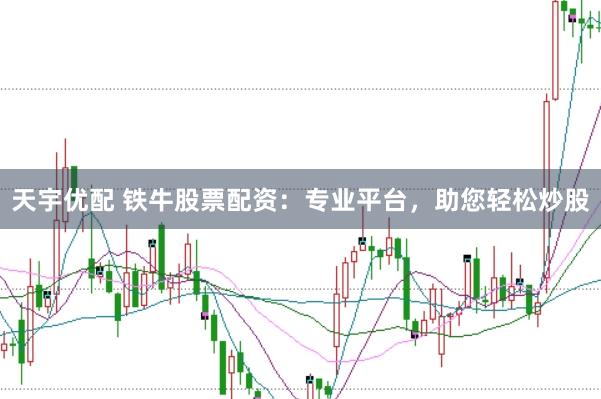 天宇优配 铁牛股票配资：专业平台，助您轻松炒股
