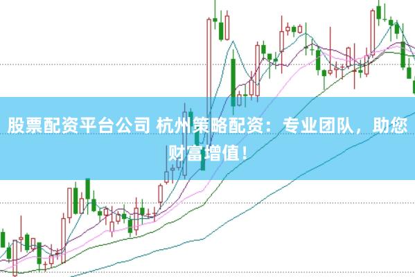 股票配资平台公司 杭州策略配资：专业团队，助您财富增值！