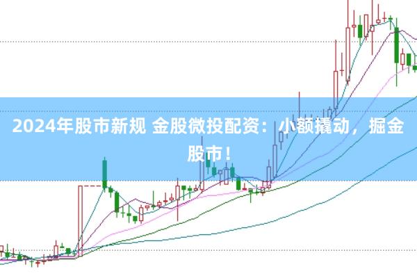2024年股市新规 金股微投配资：小额撬动，掘金股市！