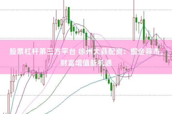 股票杠杆第三方平台 徐州大蒜配资：掘金蒜市，财富增值新机遇