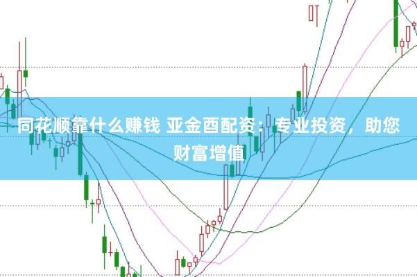同花顺靠什么赚钱 亚金酉配资：专业投资，助您财富增值