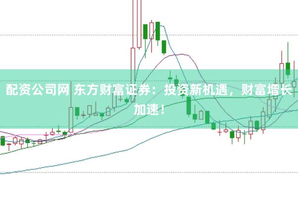 配资公司网 东方财富证券：投资新机遇，财富增长加速！