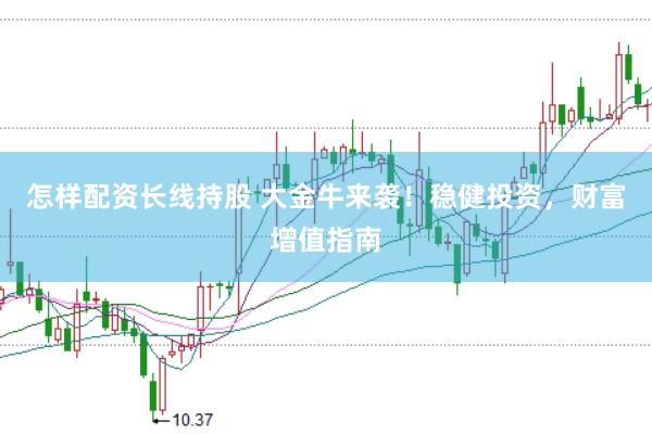 怎样配资长线持股 大金牛来袭！稳健投资，财富增值指南
