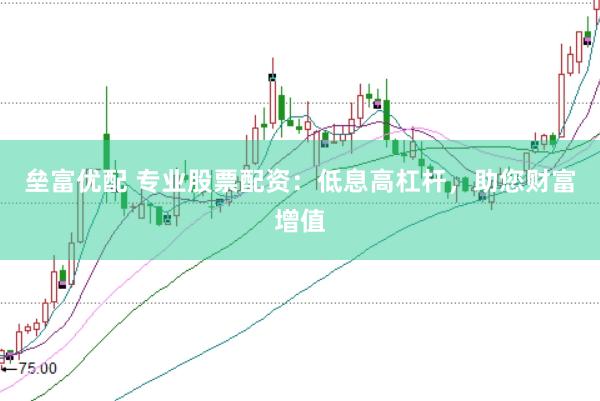 垒富优配 专业股票配资：低息高杠杆，助您财富增值