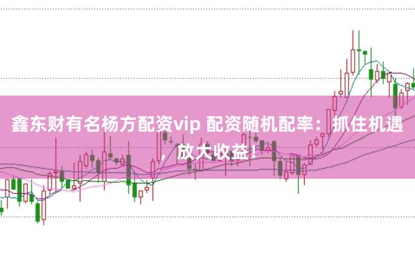 鑫东财有名杨方配资vip 配资随机配率：抓住机遇，放大收益！