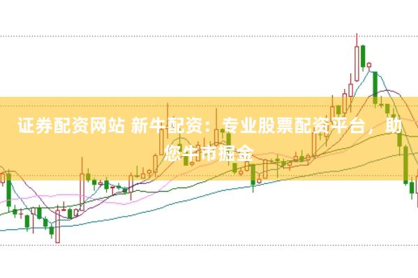 证券配资网站 新牛配资：专业股票配资平台，助您牛市掘金