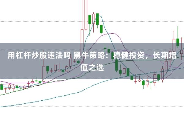 用杠杆炒股违法吗 黑牛策略：稳健投资，长期增值之选