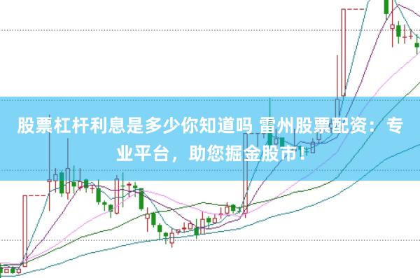 股票杠杆利息是多少你知道吗 雷州股票配资:专业平台,助您掘金股市!