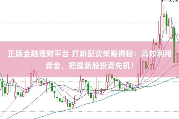 正版金融理财平台 打新配资策略揭秘：高效利用资金，把握新股投资先机！